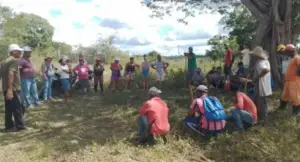 mst bahia