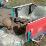 mumia bolsa termica