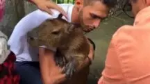 capivara filó é devolvida a agenor tupinambá