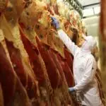 carne bovina