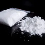produção mundial de cocaína