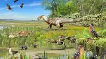 crânio dinossauro