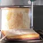 manuscrito ptolomeu