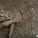 mão decepada egito
