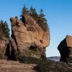 oásis fósseis canadá