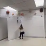 estrutura blindada
