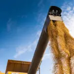 FGV agropecuária PIB Brasil