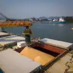 Agronegócio Porto de Santos exportações soja