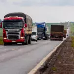 Mato grosso