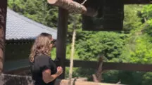 janja japão