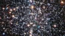 objeto raro universo