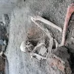 restos pompeia
