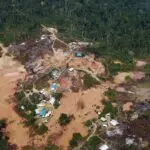 terra ianomâmi | A oposição tem pressionado o governo Lula e o Ministério dos Povos Indígenas por uma resolução na crise entre os ianomâmis | Foto: Nacho Doce/Agência Brasil