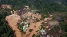 terra ianomâmi | A oposição tem pressionado o governo Lula e o Ministério dos Povos Indígenas por uma resolução na crise entre os ianomâmis | Foto: Nacho Doce/Agência Brasil