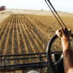 Agropecuária PIB Brasil