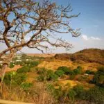 desmatamento - cerrado