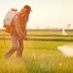 Mais 13 produtos liberados para controle de pragas na agricultura