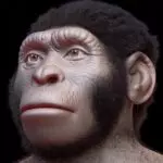 tumbas parente humanos