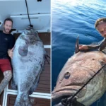 Peixe 180 Kg Fisgado Litoral