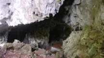 Arqueólogos