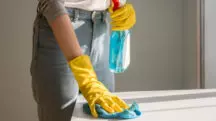 anivsa produtos de limpeza