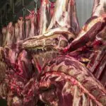 exportações carne bovina governo Lula
