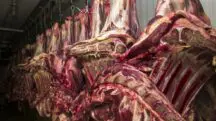 exportações carne bovina governo Lula