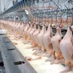 carne brasileiro Novos Brics agronegócio