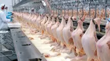carne brasileiro Novos Brics agronegócio