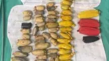 homem 120 pacotes drogas