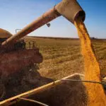 Exportações agrícolas