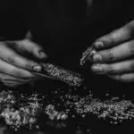 drogas ; traficantes ; maconha ;