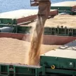 Exportações de soja agropecuária