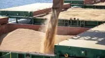 Exportações de soja agropecuária