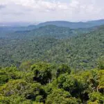 Amazônia