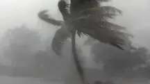 Chuva Deslizamentos Inchentes
