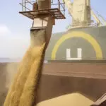 agronegócio brasileiro exportações