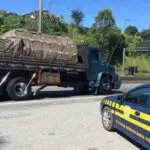 roubo caminhões