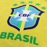 Seleção Brasileira Novo Técnico