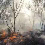 alerta laranja do inmet para incêndios florestais