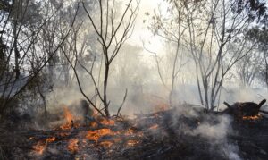 alerta laranja do inmet para incêndios florestais