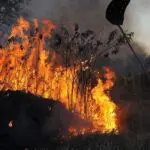 incêndios florestais - granizo - alagamentos