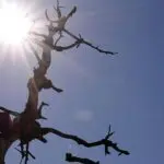 previsão do tempo - calor - sol - estiagem - clima seco - tempo seco - alerta para baixa umidade - perigo - previsão do tempo