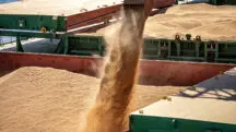 China agronegócio Brasil soja