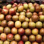 Exportações frutas Brasil