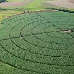 ESG agronegócio Brasil