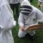 Apicultores - abelhas resgatadas