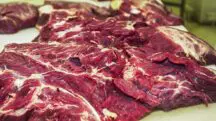 Argentina Exportação de Carne