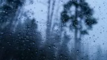 previsão do tempo - alertas - tempestade - vendaval - chuvas intensas - chuva - alertas - ventos intensos - manhã - chuvas intensas