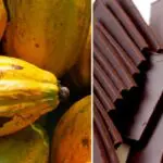 Chocolate em ilhas da África ganham destaque